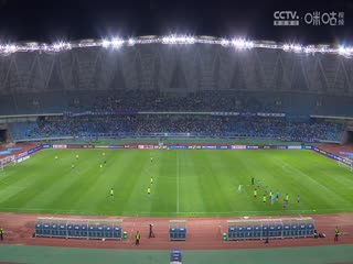中超联赛 沧州雄狮VS河南俱乐部 20240426的海报